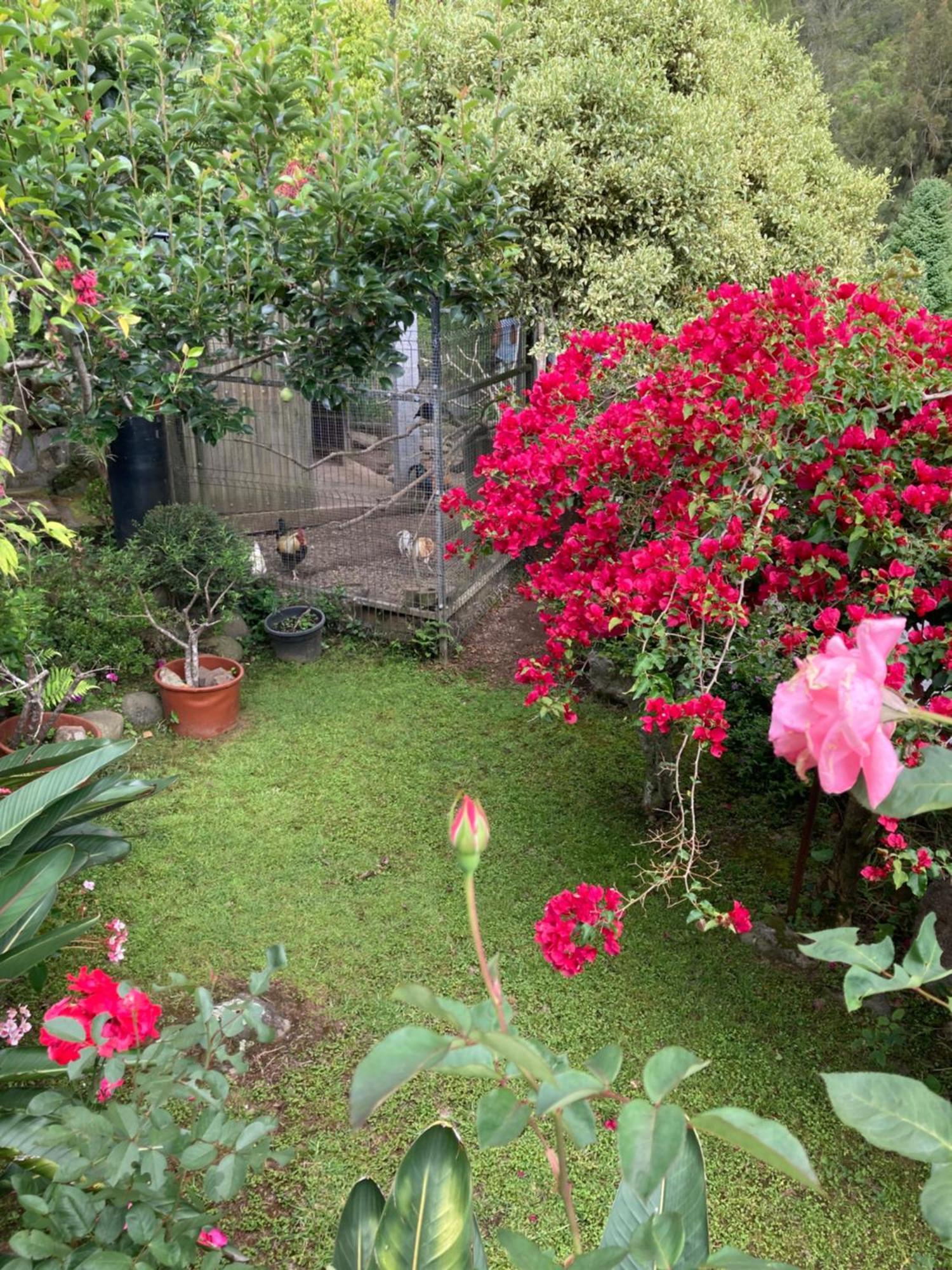 Вілла Les Begonias Сілао Екстер'єр фото